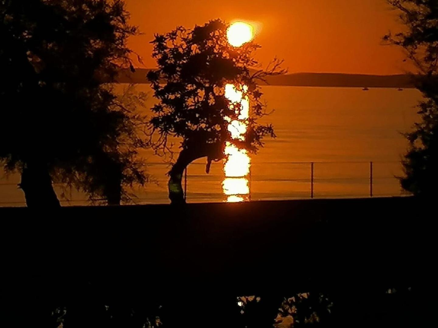 Apartments Petin Zadar Eksteriør bilde